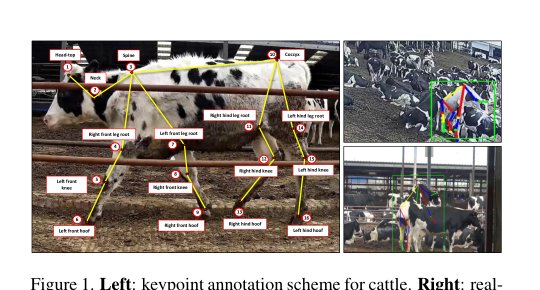 FSMC-Pose: Frequency and Spatial Fusion with Multiscale Self-calibration for Cattle Mounting Pose Estimation Figure 1