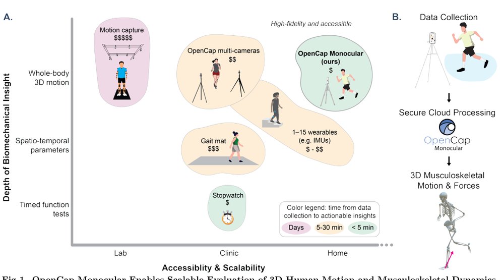 OpenCap Monocular: 3D Human Kinematics and Musculoskeletal Dynamics from a Single Smartphone Video Figure 1
