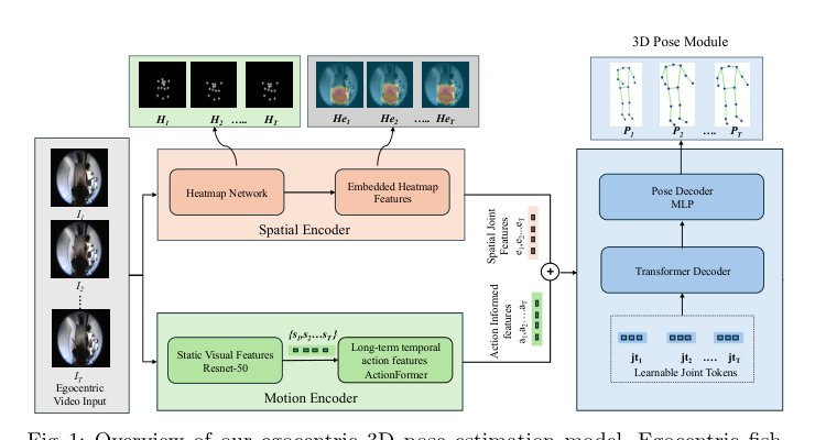 AG-EgoPose: Leveraging Action-Guided Motion and Kinematic Joint Encoding for Egocentric 3D Pose Estimation Figure 1