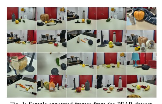 Mind the Shape Gap: A Benchmark and Baseline for Deformation-Aware 6D Pose Estimation of Agricultural Produce Figure 1