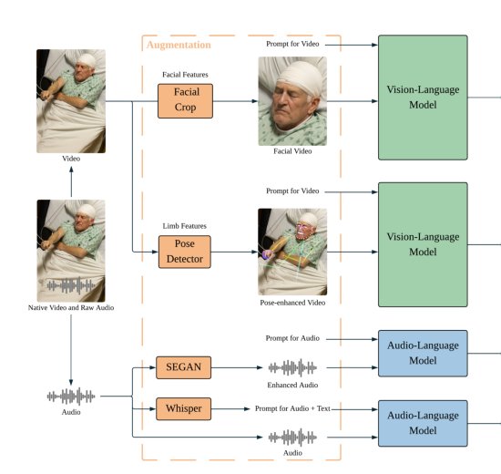 Can Multimodal Large Language Models Understand Pathologic Movements? A Pilot Study on Seizure Semiology Figure 1
