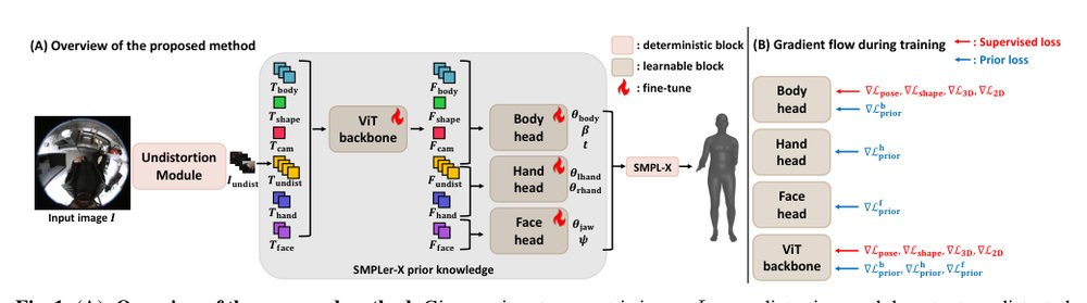 Egocentric Whole-Body Human Mesh Recovery with Prior-Guided Learning Figure 1