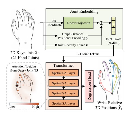 Rethinking Graph Convolution for 2D-to-3D Hand Pose Lifting Figure 1