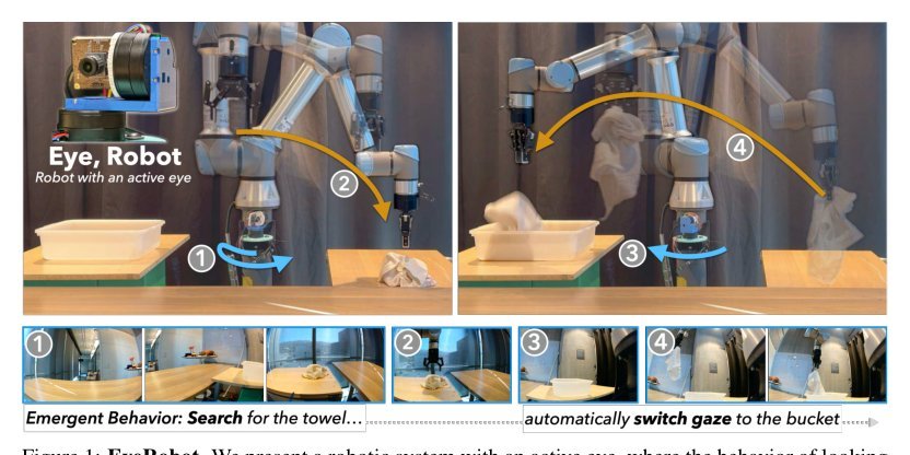 Eye, Robot: Learning to Look to Act with a BC-RL Perception-Action Loop