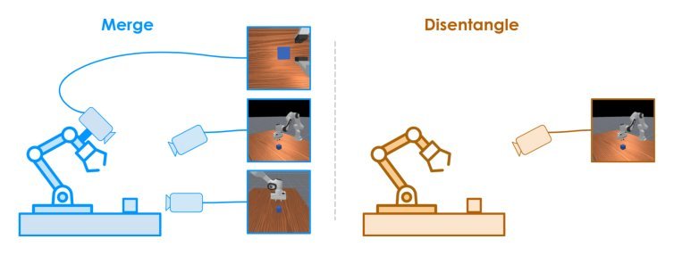 Merging and Disentangling Views in Visual Reinforcement Learning for Robotic Manipulation