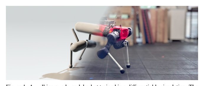 Learning Deployable Locomotion Control via Differentiable Simulation
