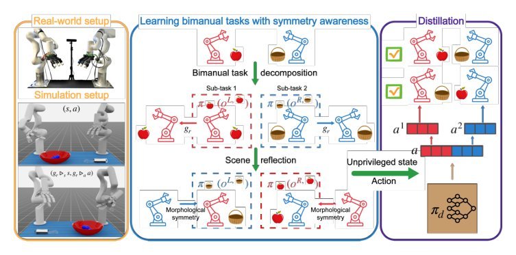 Morphologically Symmetric Reinforcement Learning for Ambidextrous Bimanual Manipulation