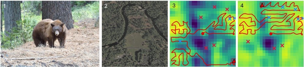 Search-TTA: A Multi-Modal Test-Time Adaptation Framework for Visual Search in the Wild