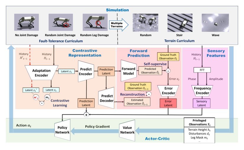 Contrastive Forward Prediction Reinforcement Learning for Adaptive Fault-Tolerant Legged Robots