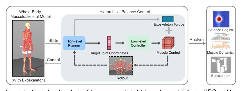 Bipedal Balance Control with Whole-body Musculoskeletal Standing and Falling Simulations
