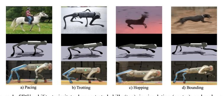 SDS – See it, Do it, Sorted: Quadruped Skill Synthesis from Single Video Demonstration