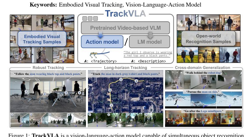 TrackVLA: Embodied Visual Tracking in the Wild