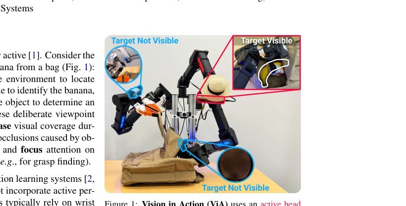 Vision in Action: Learning Active Perception from Human Demonstrations