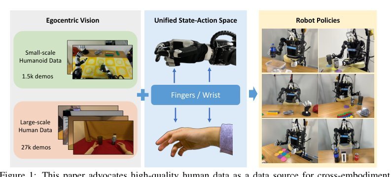 Humanoid Policy ~ Human Policy