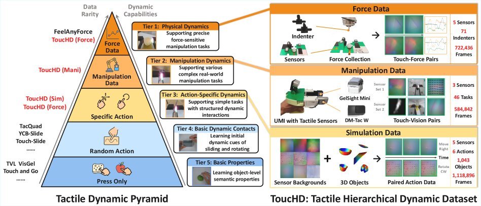 AnyTouch 2: General Optical Tactile Representation Learning For Dynamic Tactile Perception figure
