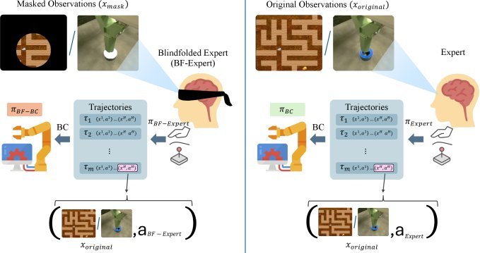 Blindfolded Experts Generalize Better: Insights from Robotic Manipulation and Videogames figure