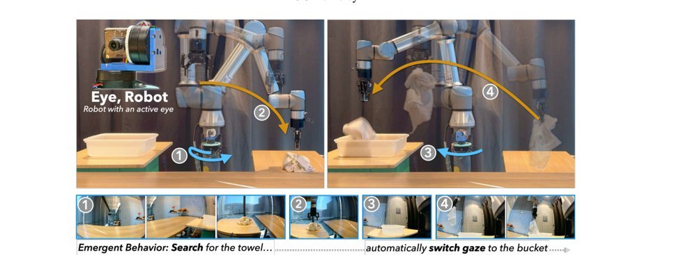 Eye, Robot: Learning to Look to Act with a BC-RL Perception-Action Loop figure