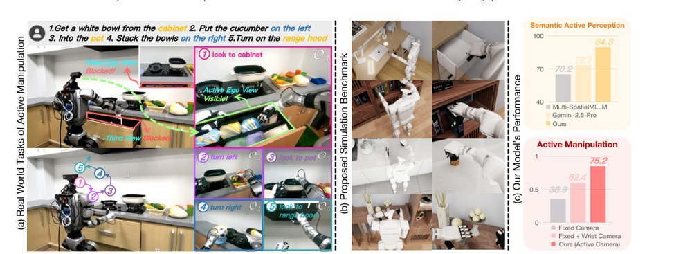 SaPaVe: Towards Active Perception and Manipulation in Vision-Language-Action Models for Robotics figure