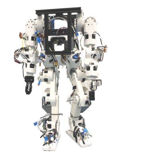 Demonstrating Berkeley Humanoid Lite: An Open-source, Accessible, and Customizable 3D-printed Humanoid Robot figure