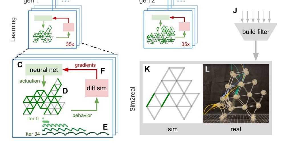 Evolution and learning in differentiable robots figure