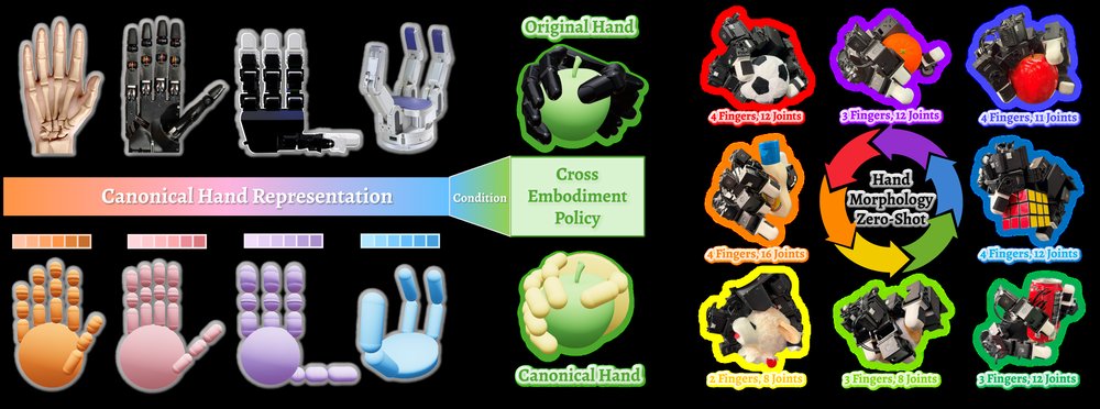 One Hand to Rule Them All: Canonical Representations for Unified Dexterous Manipulation figure