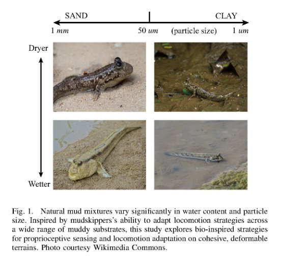 Adaptive Locomotion on Mud through Proprioceptive Sensing of Substrate Properties figure