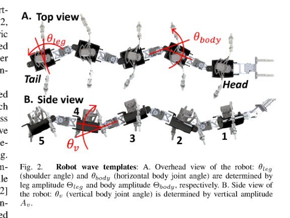 Tactile sensing enables vertical obstacle negotiation for elongate many-legged robots figure