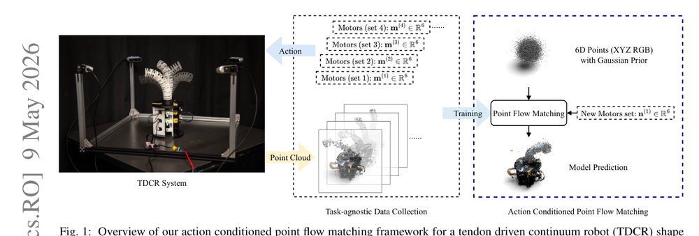 Continuum Robot Modeling with Action Conditioned Flow Matching figure