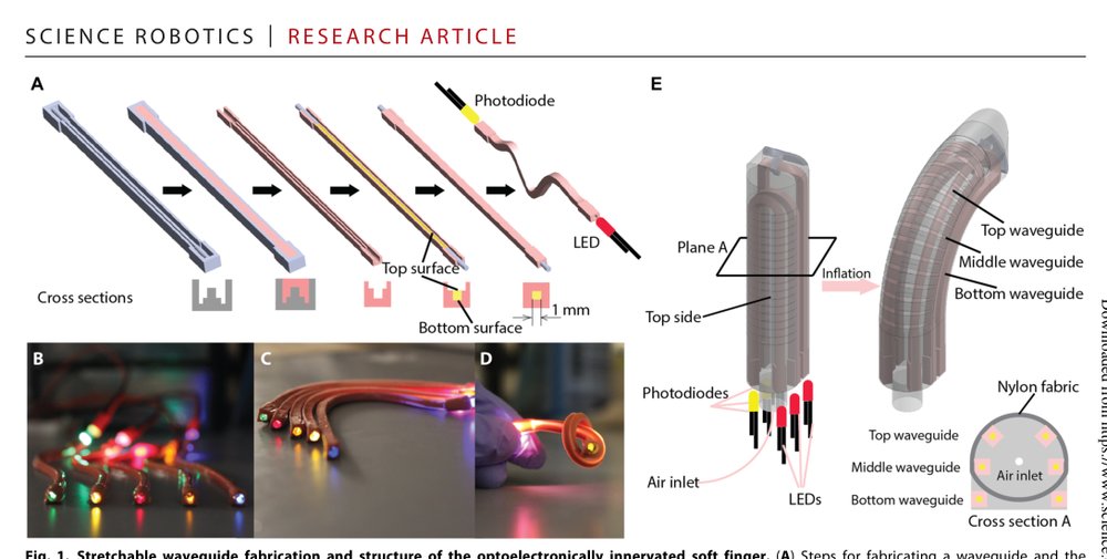 Optoelectronically innervated soft prosthetic hand via stretchable optical waveguides Figure 1