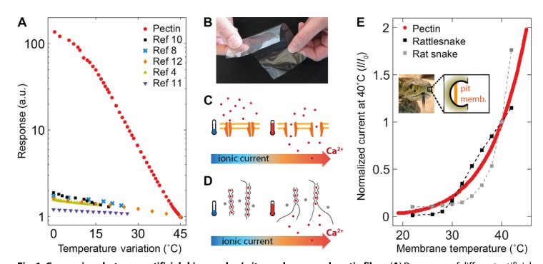 Biomimetic temperature-sensing layer for artificial skins Figure 1