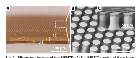 Bioinspired photocontrollable microstructured transport device Figure 1
