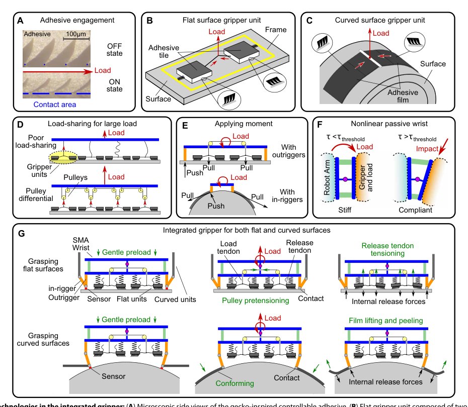 A robotic device using gecko-inspired adhesives can grasp and manipulate large objects in microgravity Figure 1