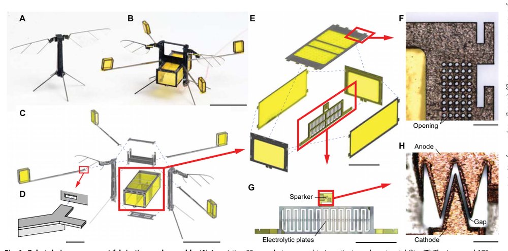 A biologically inspired, flapping-wing, hybrid aerial-aquatic microrobot Figure 1
