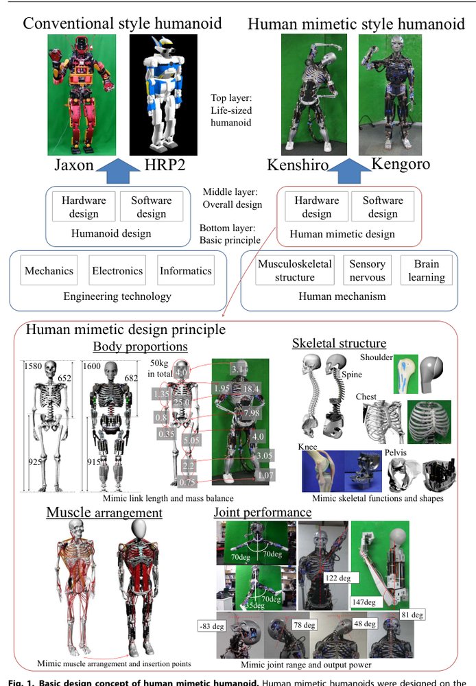 Design principles of a human mimetic humanoid: Humanoid platform to study human intelligence and internal body system Figure 1