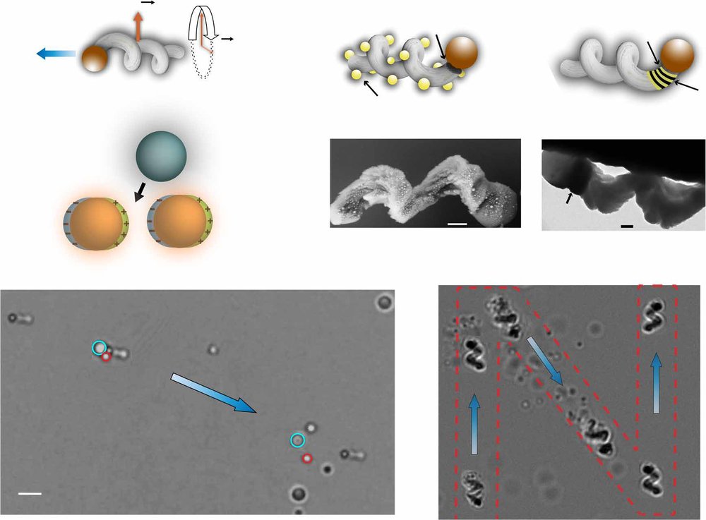 Mobile nanotweezers for active colloidal manipulation Figure 1