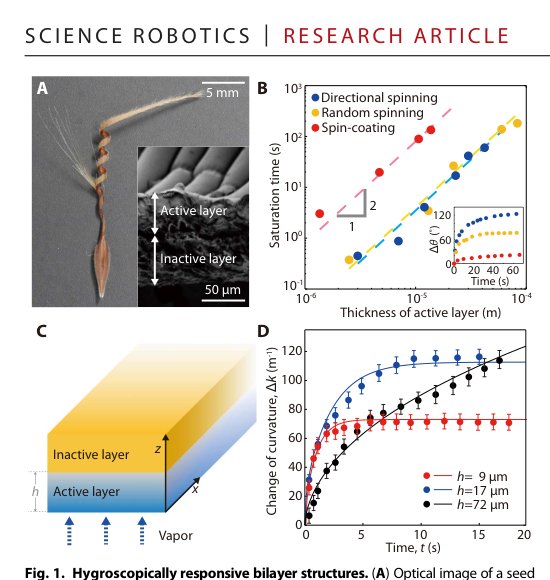 Hygrobot: A self-locomotive ratcheted actuator powered by environmental humidity Figure 1