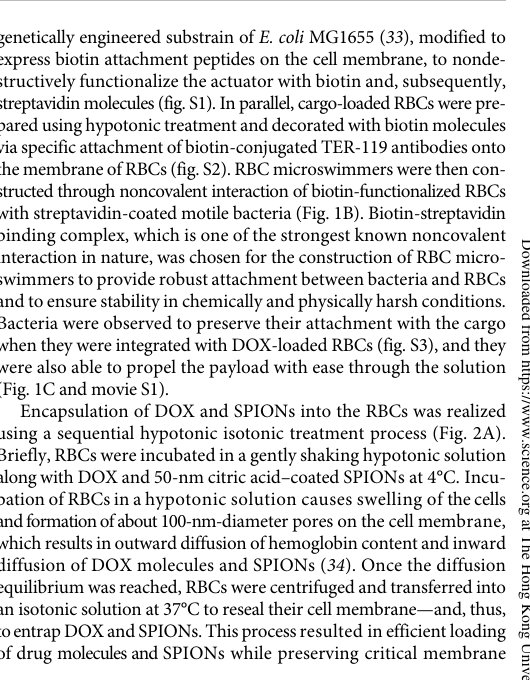 Soft erythrocyte-based bacterial microswimmers for cargo delivery Figure 1