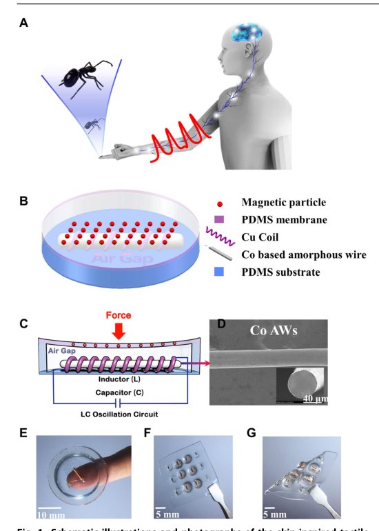 A skin-inspired tactile sensor for smart prosthetics Figure 1
