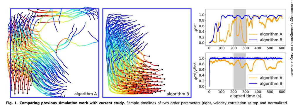 Optimized flocking of autonomous drones in confined environments Figure 1