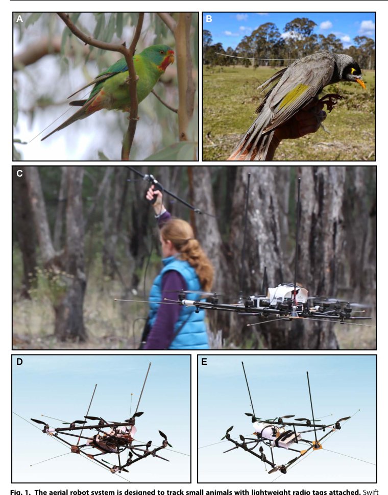 Robotic ecology: Tracking small dynamic animals with an autonomous aerial vehicle Figure 1