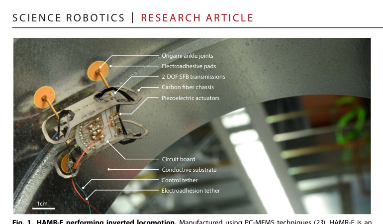 Inverted and vertical climbing of a quadrupedal microrobot using electroadhesion Figure 1
