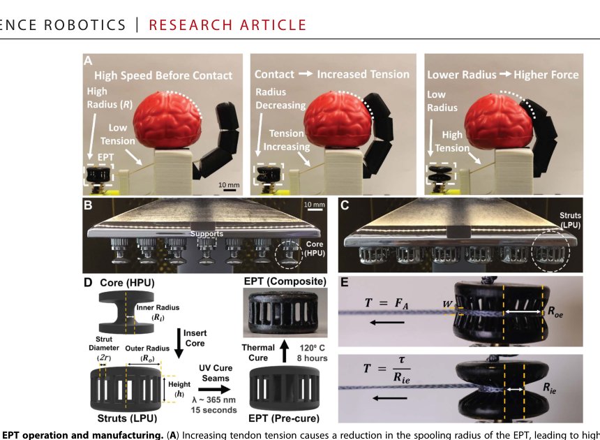 Elastomeric passive transmission for autonomous force-velocity adaptation applied to 3D-printed prosthetics Figure 1