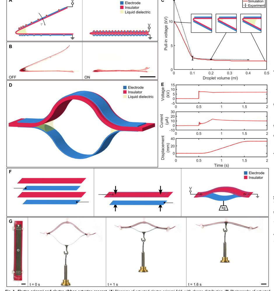 Electro-ribbon actuators and electro-origami robots Figure 1