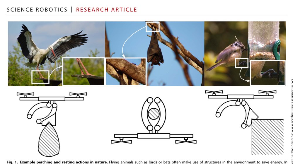 Perching and resting—A paradigm for UAV maneuvering with modularized landing gears Figure 1