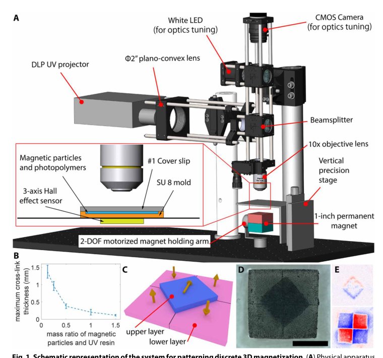 Millimeter-scale flexible robots with programmable three-dimensional magnetization and motions Figure 1