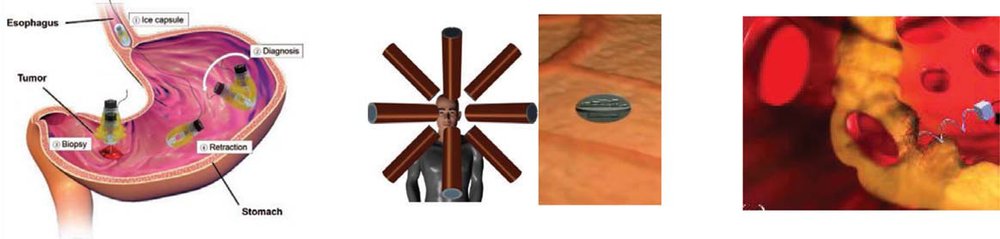 Intracellular manipulation and measurement with multipole magnetic tweezers Figure 1