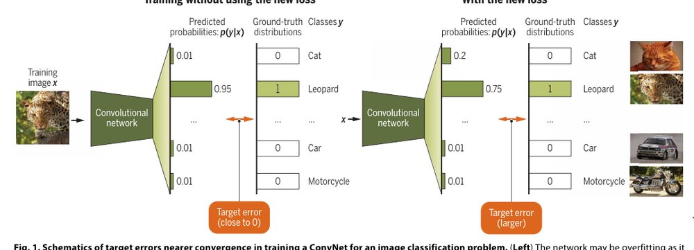 Toward principled regularization of deep networks—From weight decay to feature contraction Figure 1