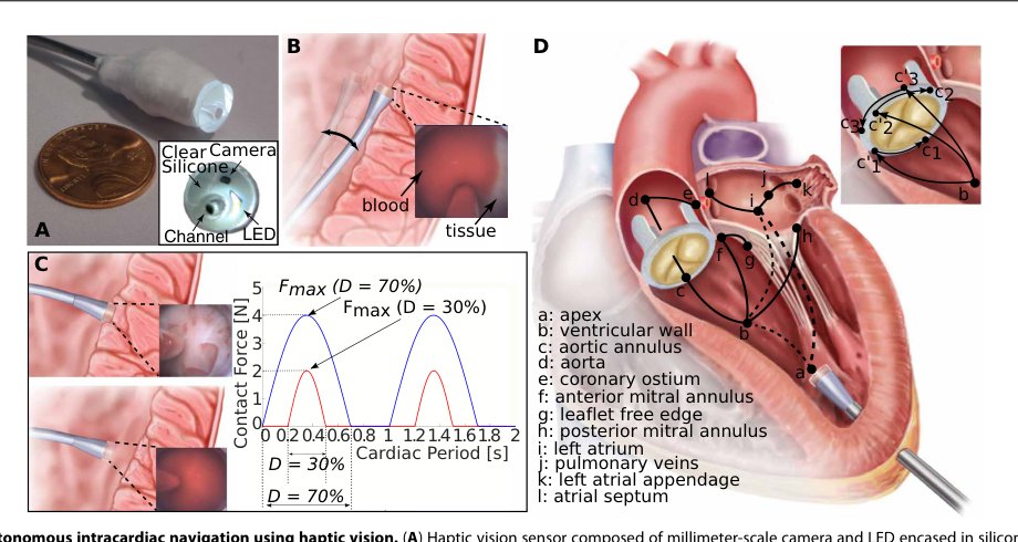 Autonomous robotic intracardiac catheter navigation using haptic vision Figure 1