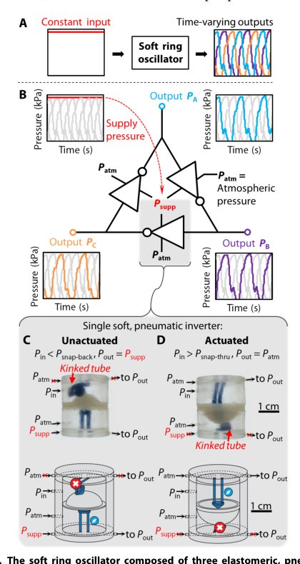 A soft ring oscillator Figure 1