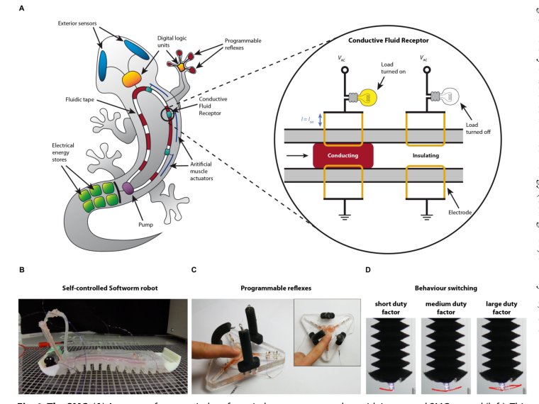 A soft matter computer for soft robots Figure 1